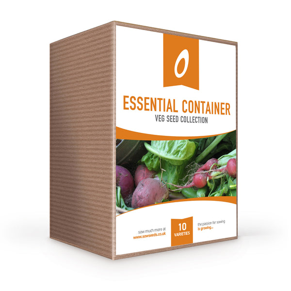 Essential Container Veg Seed Collection