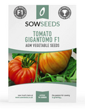 Sow Allotment Vegetable Seed Collection Box