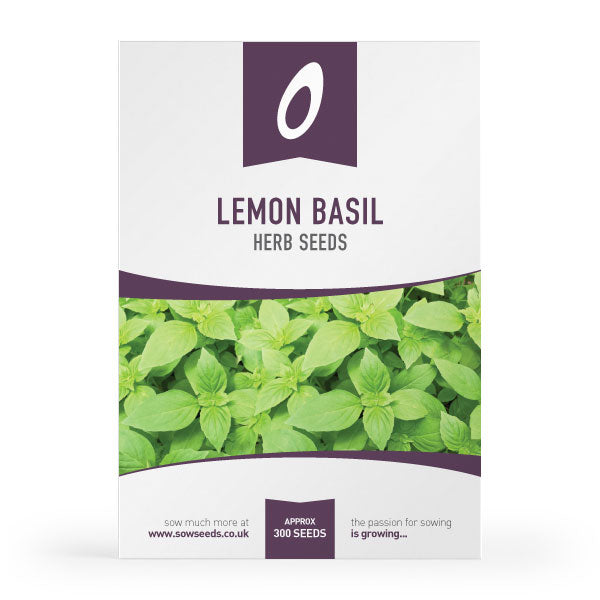 Herb Lemon Basil Seeds Quality Seeds from Sow Seeds Ltd