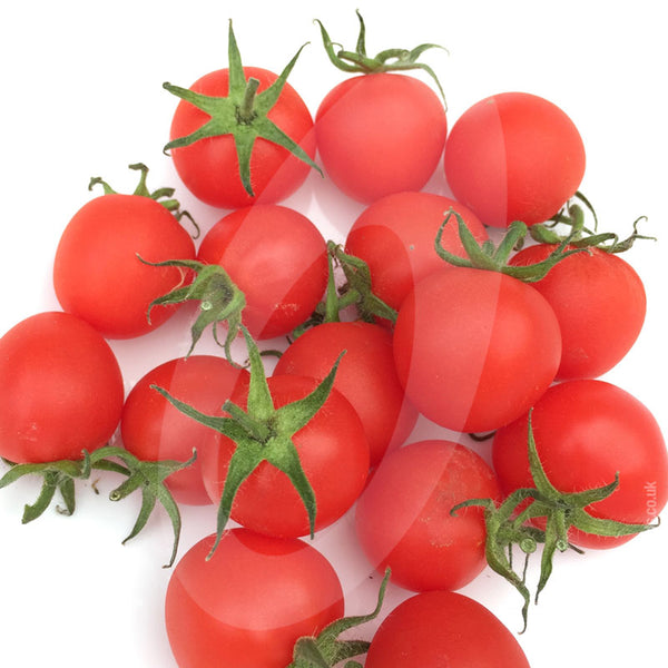 Tomato Sweet Aperitif Seeds (AGM) | Quality Seeds from Sow Seeds Ltd