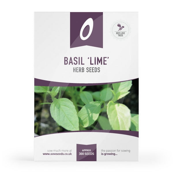 Herb Basil Lime Seeds Quality Seeds from Sow Seeds Ltd