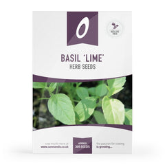 Herb Basil Lime Seeds Quality Seeds from Sow Seeds Ltd