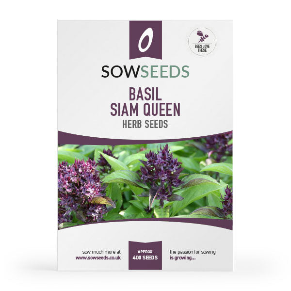 Herb Basil Siam Queen Seeds Quality Seeds from Sow Seeds Ltd